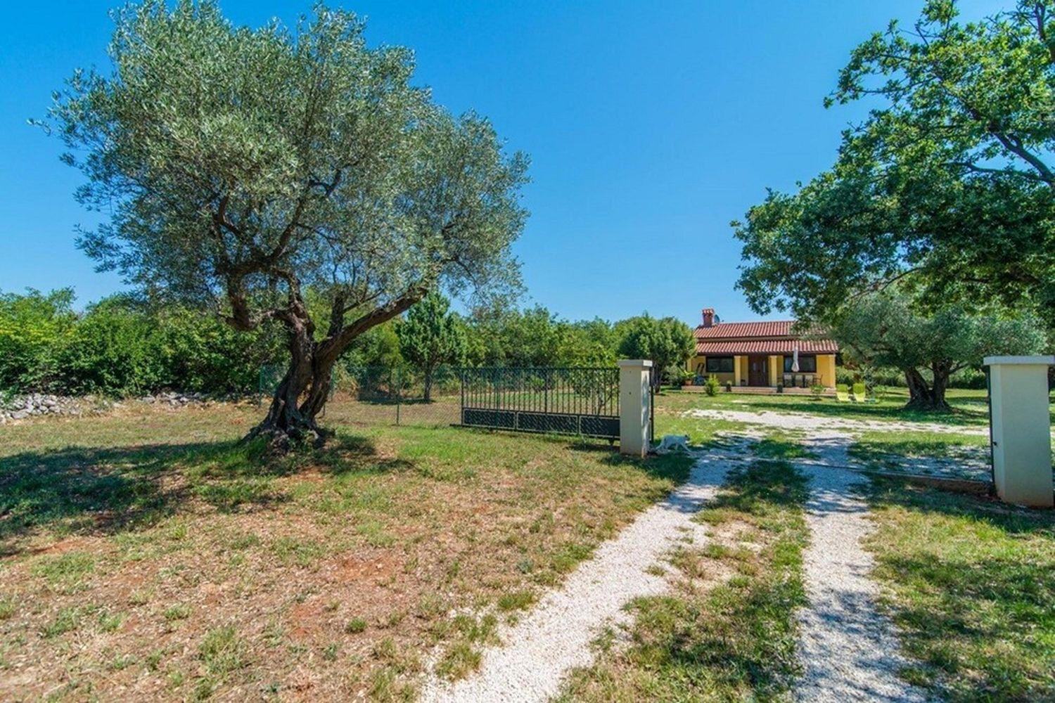 Hundefreundliches Nur 500 Meter Zum Mit Meerblick Und Tollem Privatgarten Holiday home